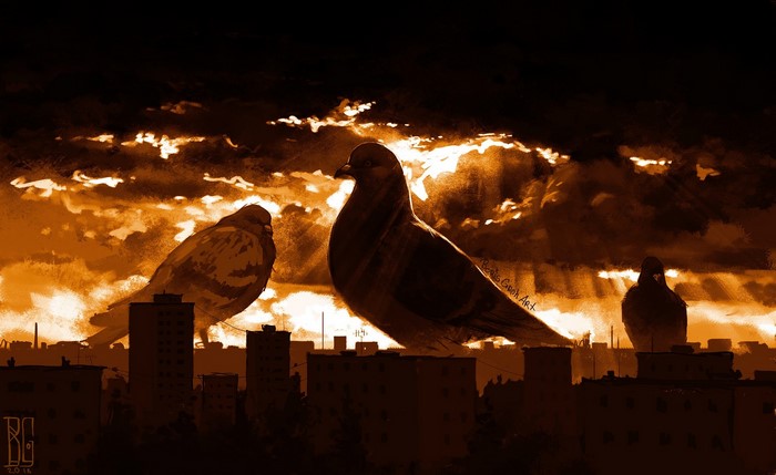 Pigeons silhouetted against a dramatic sky over a cityscape