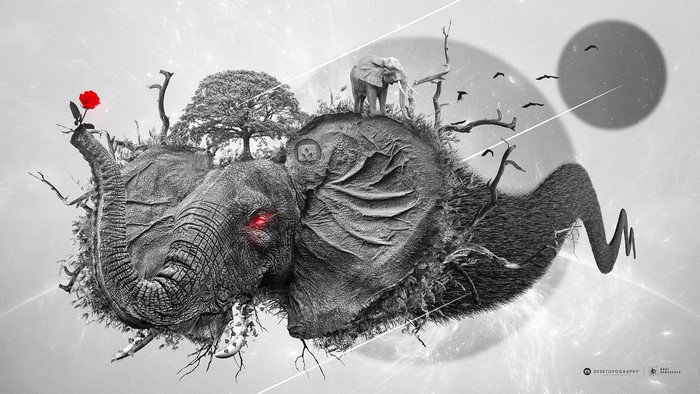 Surreal Elephant Island with Rose and Birds