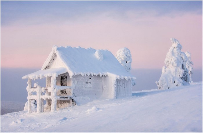 Snow-covered cabin and trees in Finland during winter