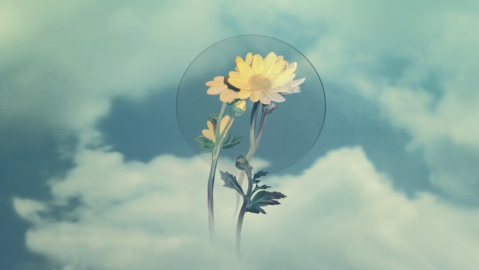 Digital art of flowers in the sky