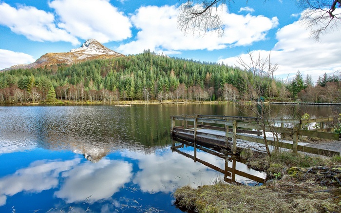 Lake with a mountain and forest reflection