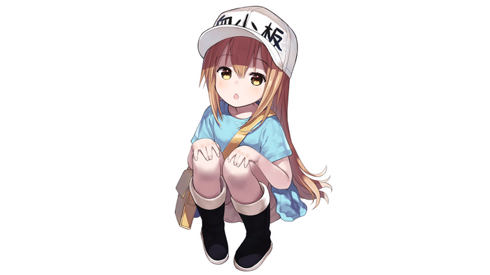 Platelet-chan from Hataraku Saibou sitting