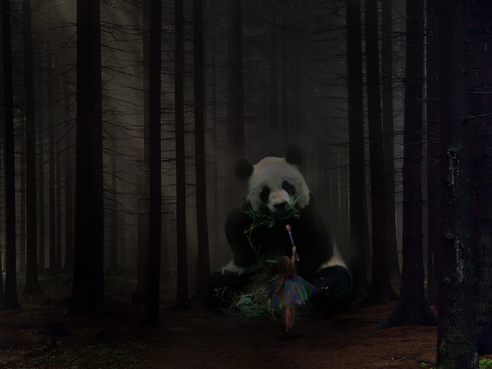 Panda and girl in a dark forest