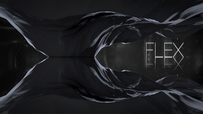Abstract monochrome landscape with FLEX text