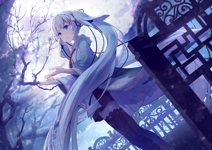 Anime Girl with Blue Eyes and Long Hair