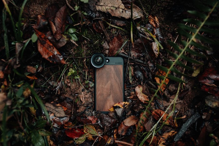 Smartphone with lens on wet leaves outdoors