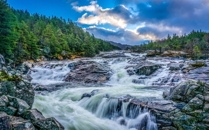 Fast flowing river through rocky terrain with pine forest