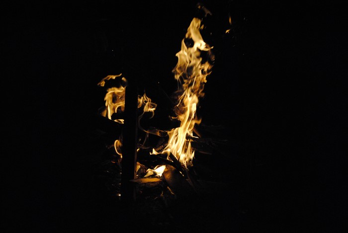 4K fire burning wood at night