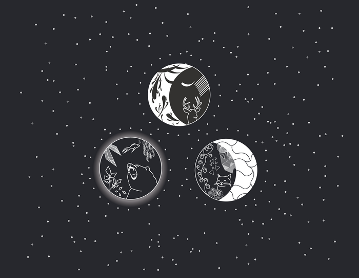 Three circular illustrations of animals on a starry night background