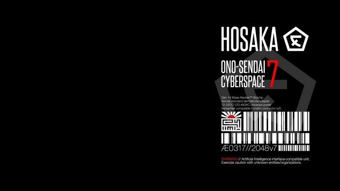 Hosaka Ono-Sendai Cyberspace