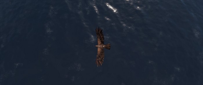 Eagle flying over water in Assassin's Creed: Origins