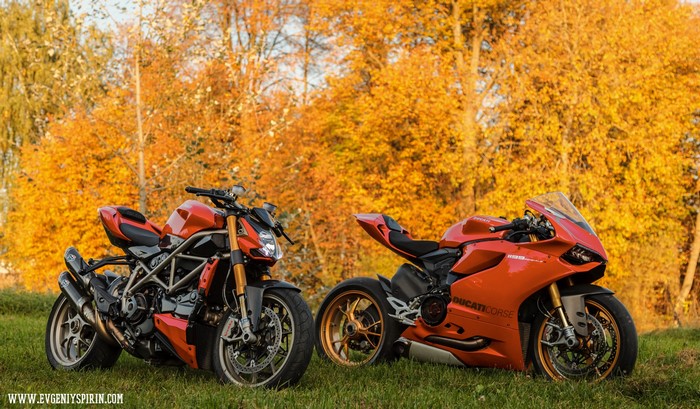 Two orange Ducati motorcycles in fall foliage