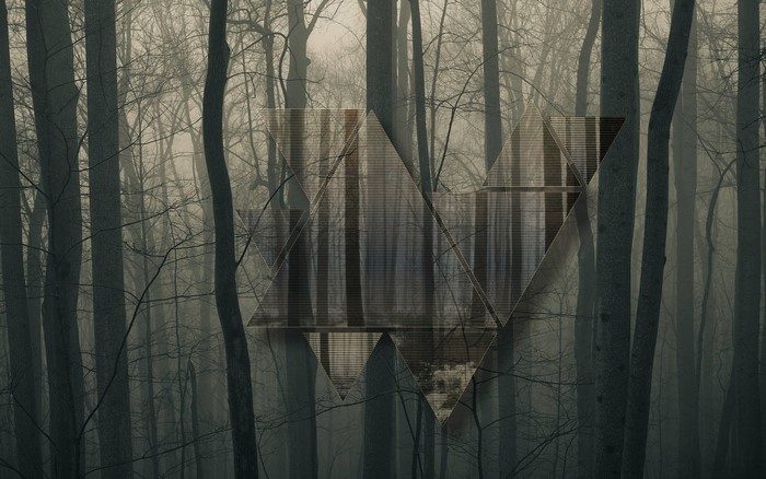Abstract geometric shapes overlaying a foggy forest