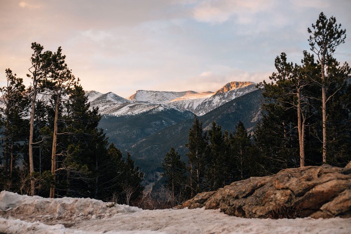 Snowy mountains and pine trees at sunset