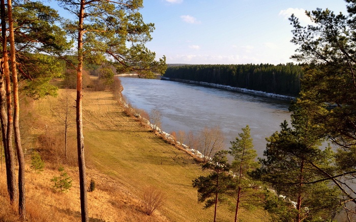 River flowing through a forest landscape