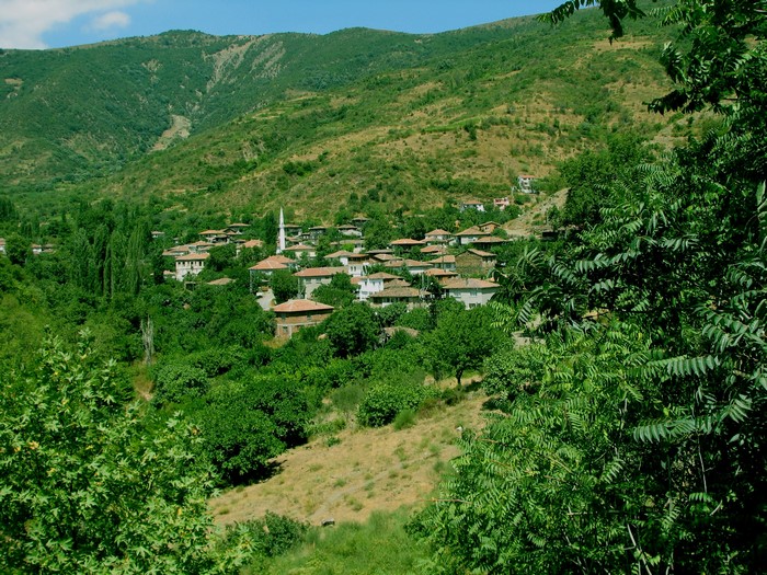 Village nestled in a green valley in Turkey