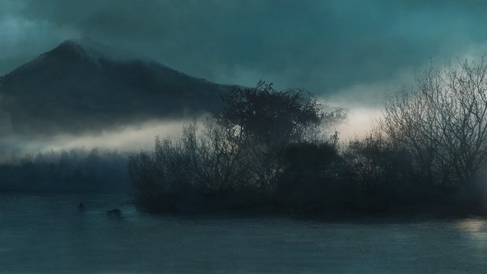 Misty mountain lake with bare trees