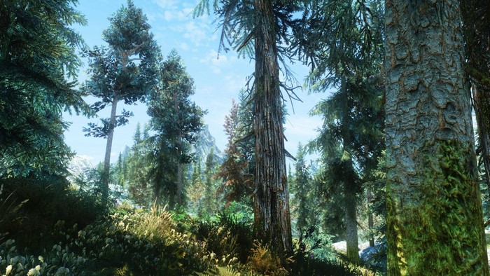 The Elder Scrolls V: Skyrim forest landscape with mountains