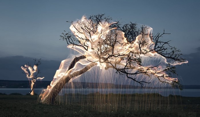 Trees with light trails and sparks at dusk