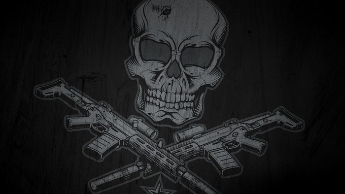 Skull and crossed assault rifles with scopes