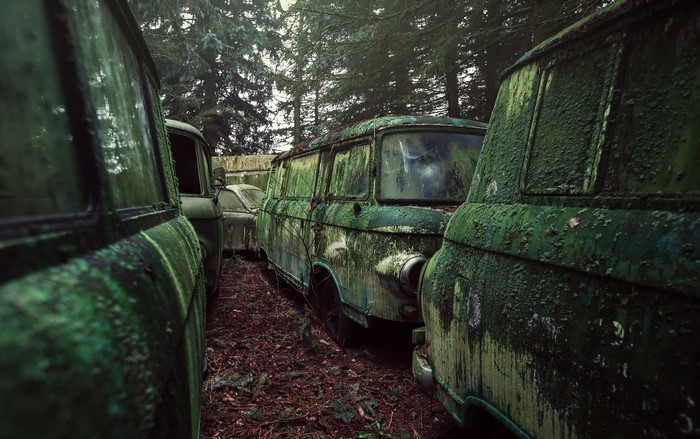 Moss-covered abandoned vehicles in a forest