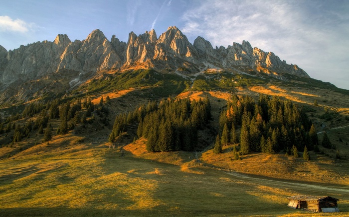 Mountain range with pine forest and wooden hut