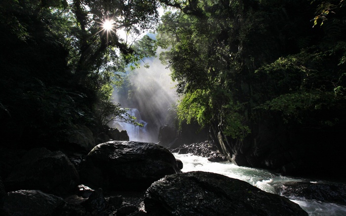 Sunbeams through trees onto a waterfall and river