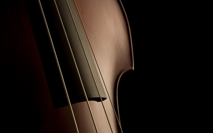 Close-up of a Double Bass instrument