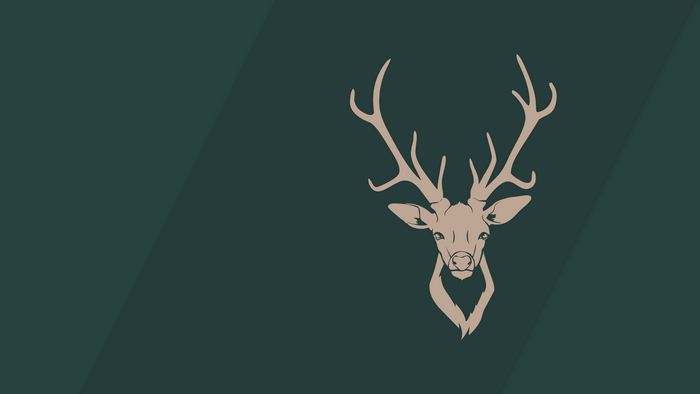 Minimalist Buck with Antlers on Dark Background