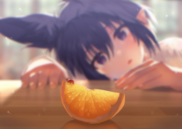 Anime girl with animal ears and a ladybug on an orange slice