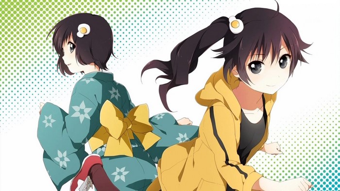 Tsukihi Araragi and Karen Araragi from Monogatari Series