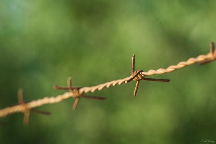 Macro photography of rusty barbed wire