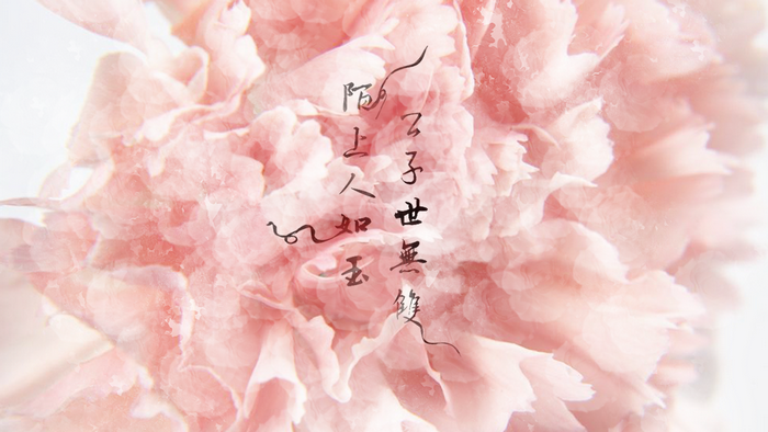 Chinese calligraphy on pink flower petals