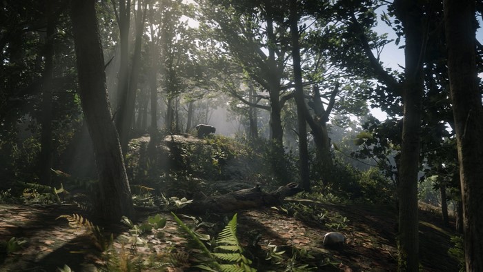 Red Dead Redemption 2 Forest Scene with Bear