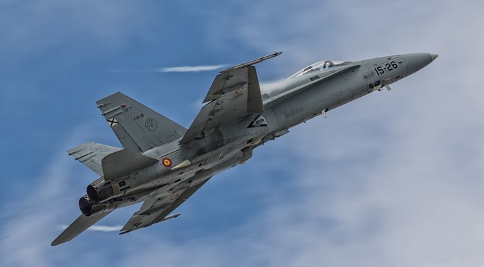 Spanish Air Force McDonnell Douglas F/A-18 Hornet in flight
