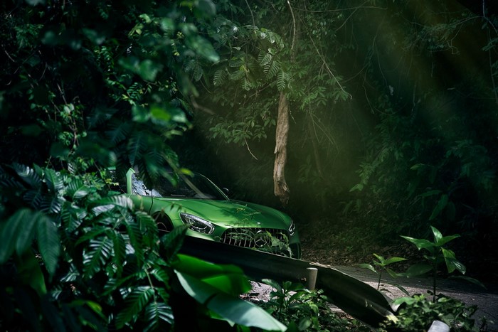 Green Mercedes-AMG GT parked on a forest road