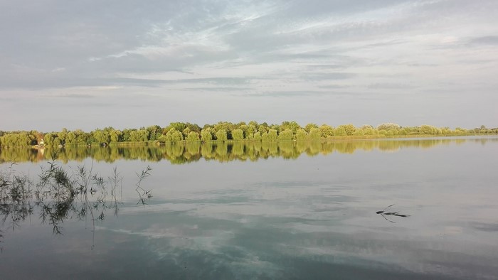 Lake with trees and reflections under cloudy sky