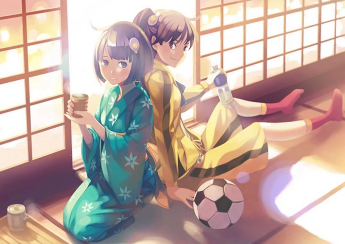 Araragi Tsukihi and Araragi Karen from Monogatari Series
