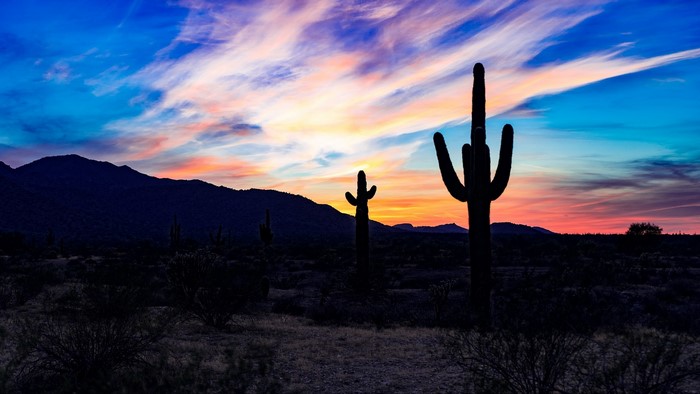Desert sunset with saguaro cacti and mountains