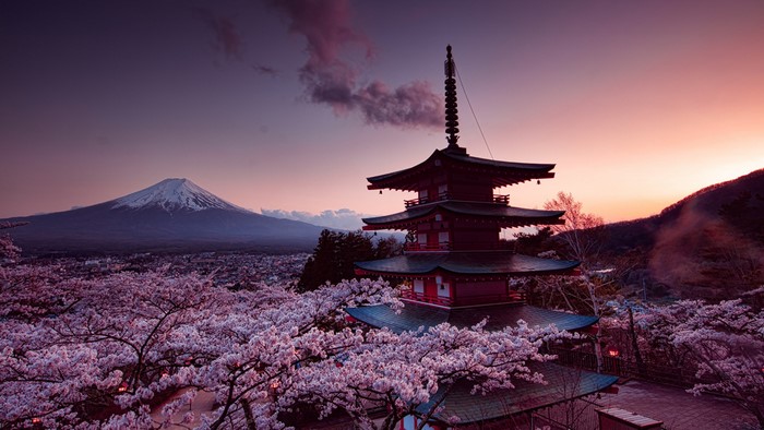 Pagoda and Mount Fuji with Cherry Blossoms at Sunset