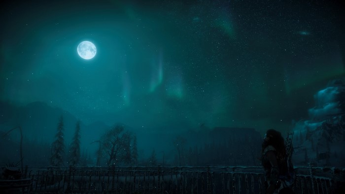 Aloy from Horizon Zero Dawn under the aurora
