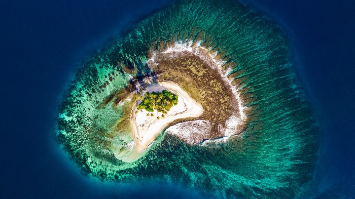 Aerial view of a tropical island with palm trees and coral reef