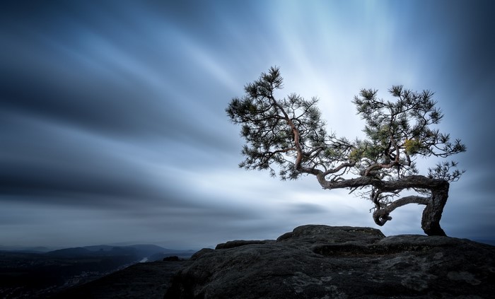 Pine tree on a rocky cliff with long exposure sky