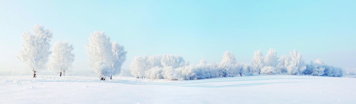 Winter landscape with snow-covered trees and clear sky