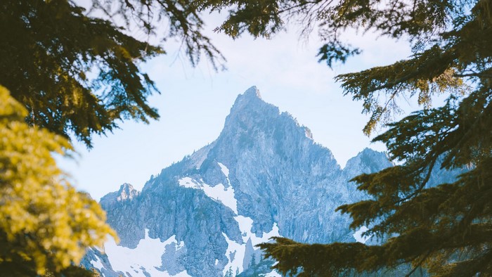 Snowy mountain peak framed by pine trees