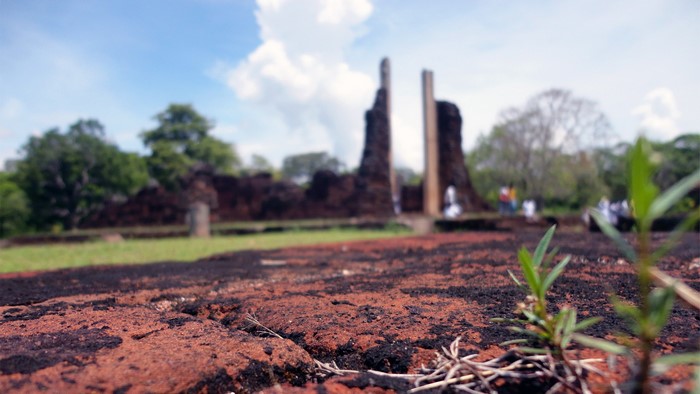 Ancient ruins with tall pillars in Sri Lanka