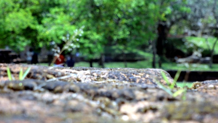 Close-up of textured stone with blurred green trees and people in background
