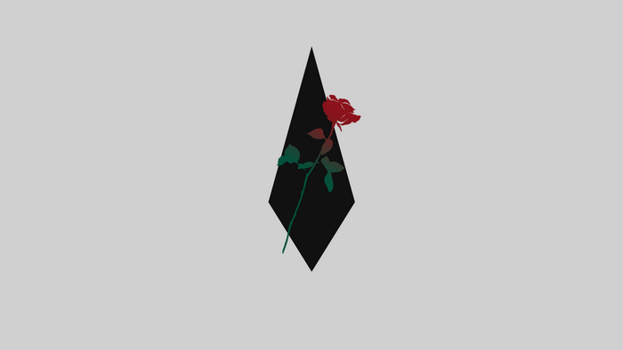 Red rose inside a black rhombus on a grey background
