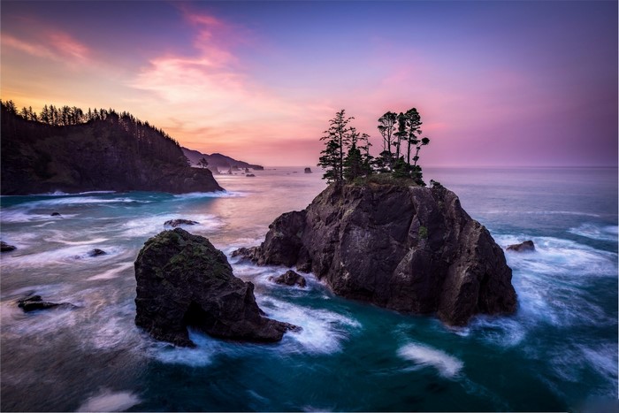 Rocky coastline with trees at sunset