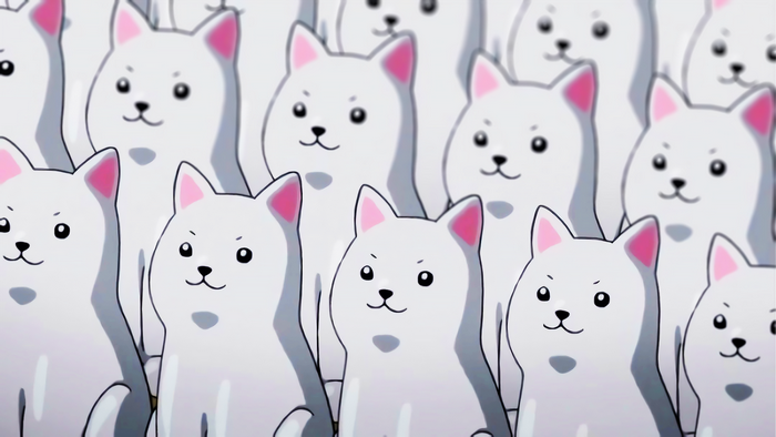 Group of white anime dogs